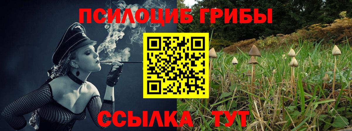 Псилоцибиновые грибы мухоморы  Псилоцибиновые грибы Psilocybe  Вход с VPN  Шатура 